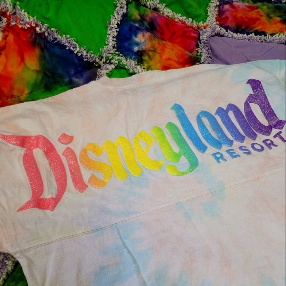 Disney Spirit Jersey Small